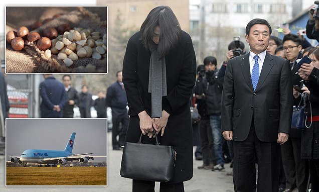 Korean Air `Delay` karena Ulah Anak Bos Akan Diselidiki Pemerintah Korea